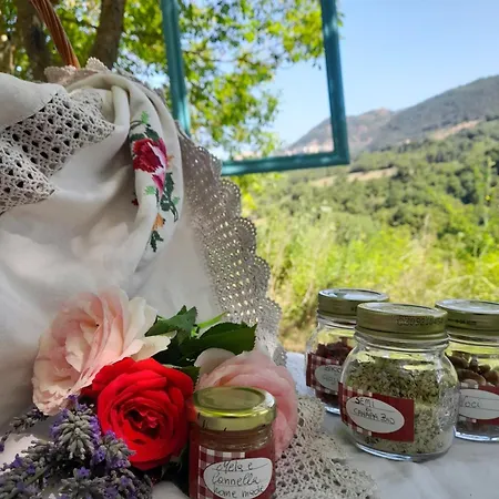Rifugio Verde Luxury tent Sant'Angelo le Fratte